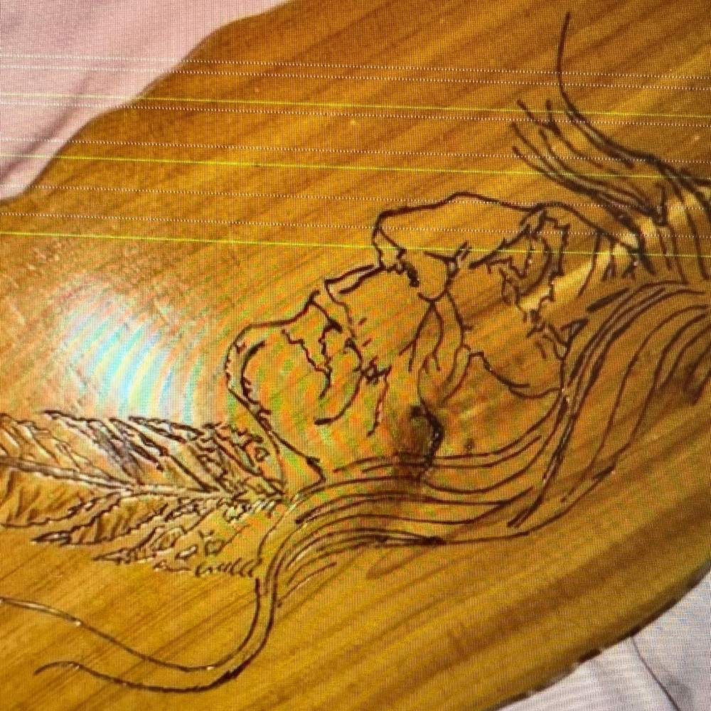 Wooden Wall Art with Feather Design
idont